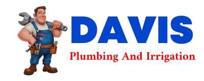 Trusted plumber in NESMITH